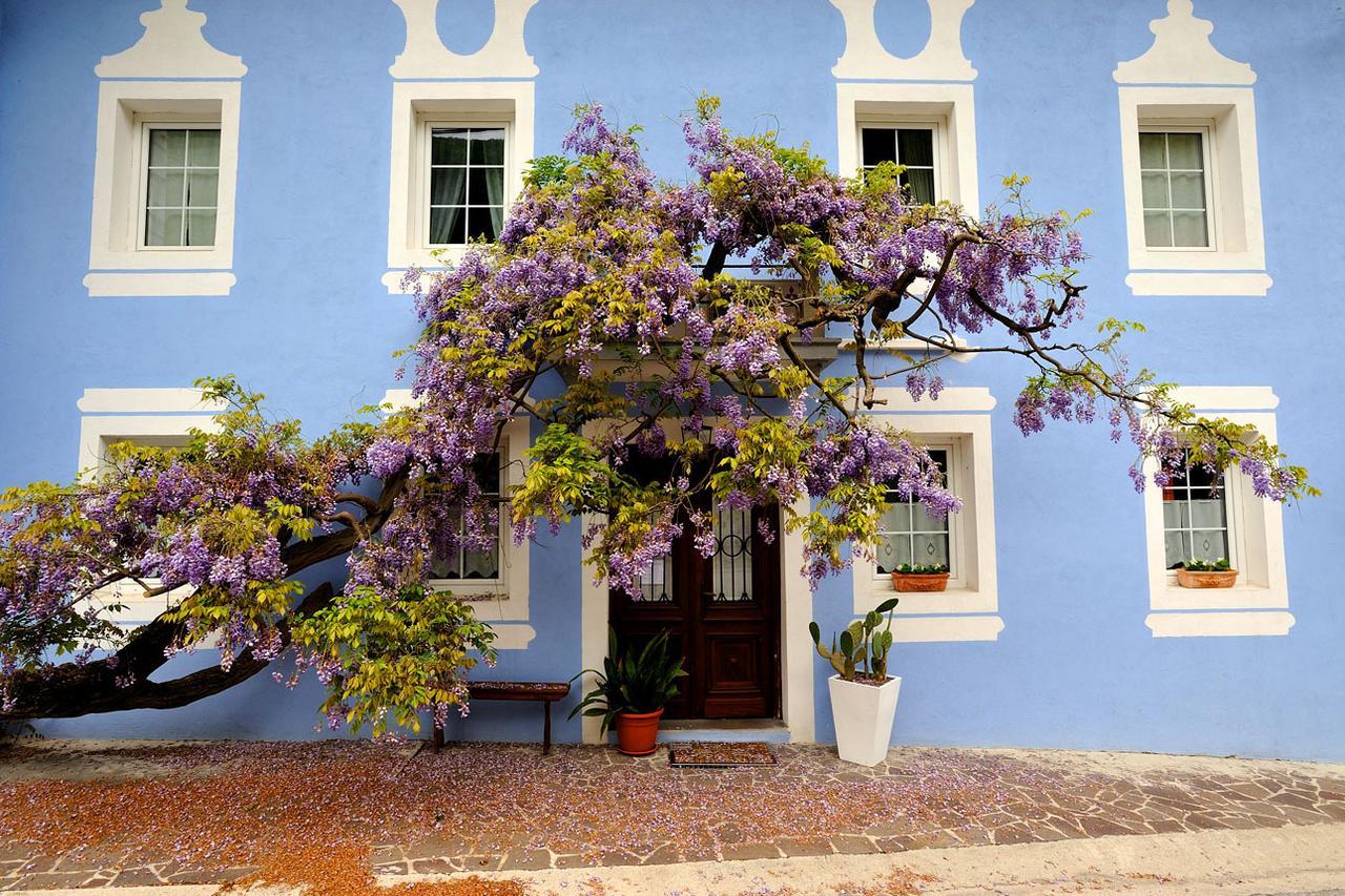 Hotel The Blue House Tolmin Zewnętrze zdjęcie